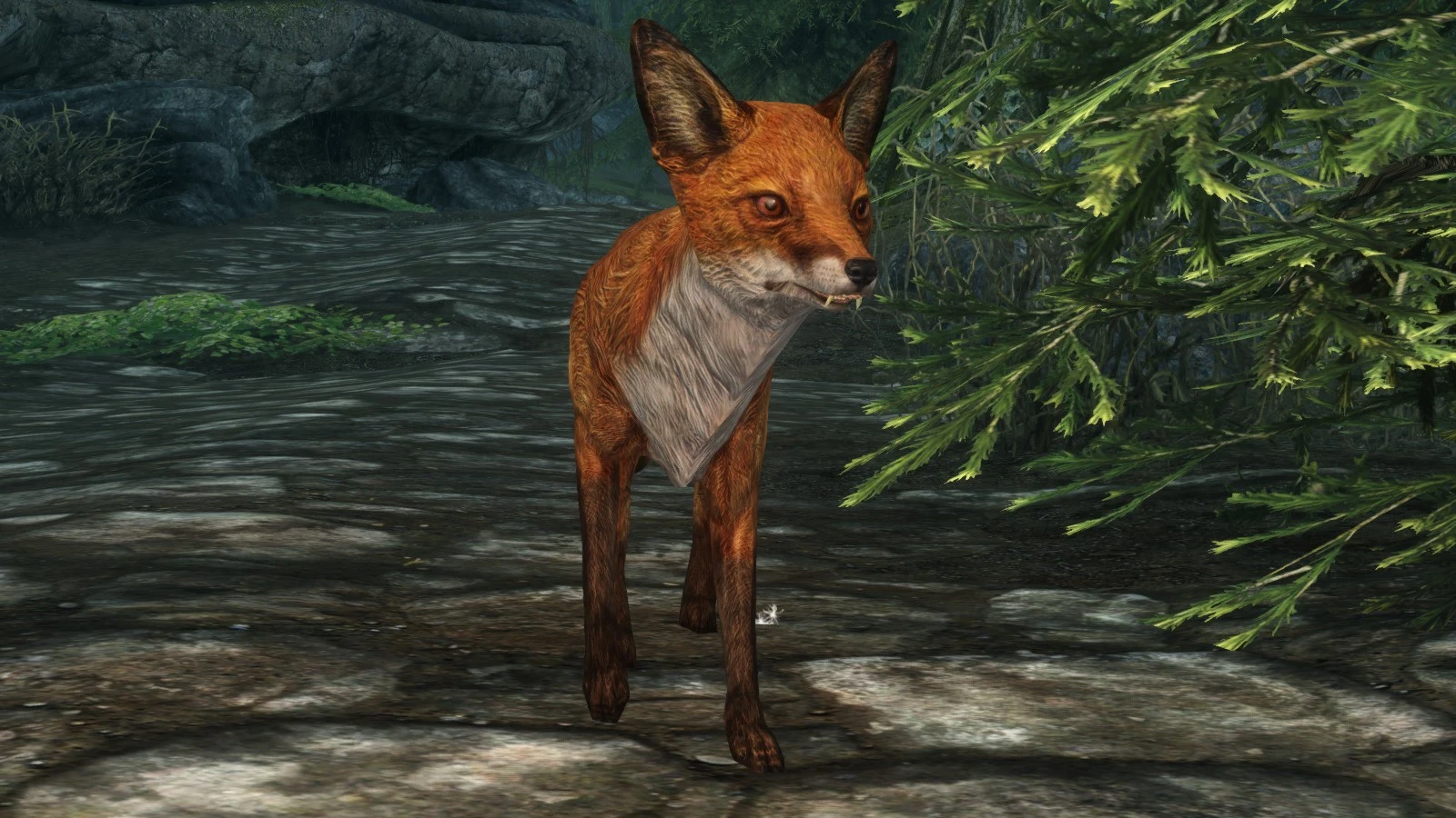 New Normal Fox Texture. 