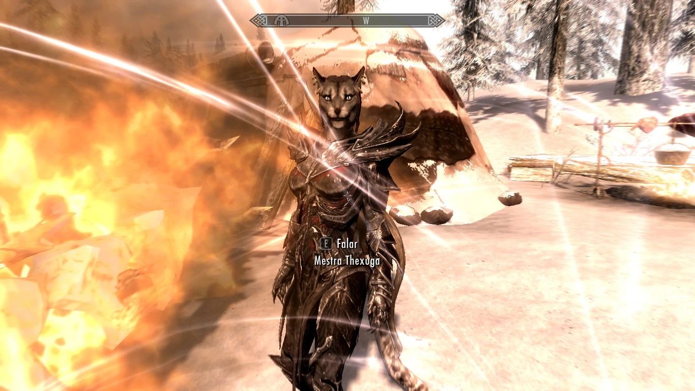 skyrim khajiit companion mod skyrim khajiit companion mod