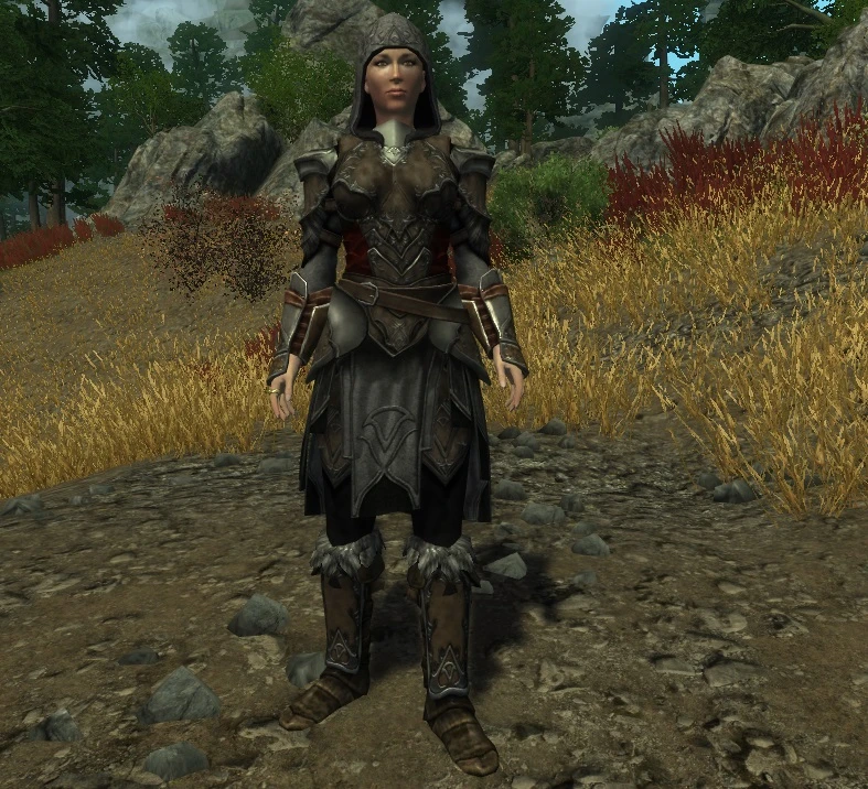 leather armor skyrim mod