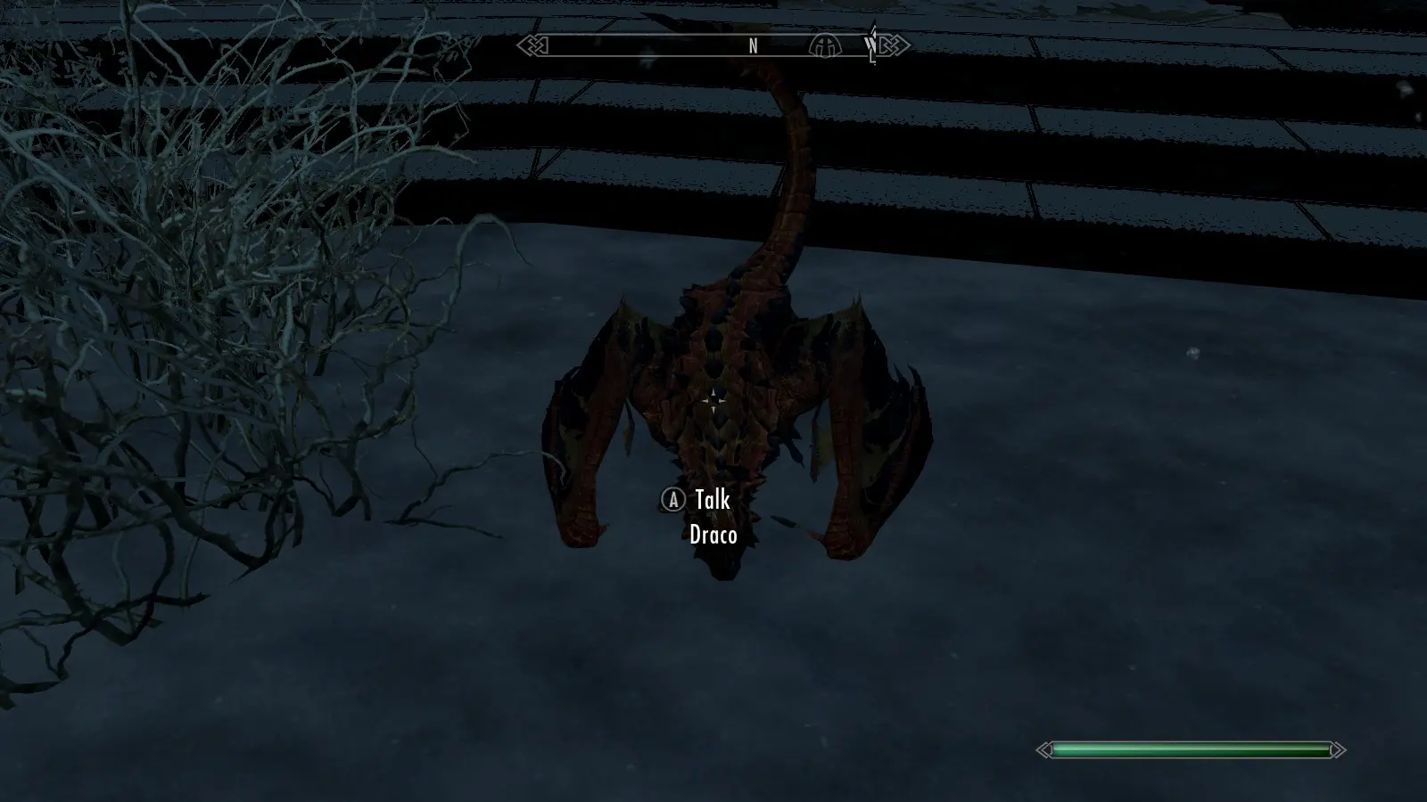 skyrim dragon girl follower