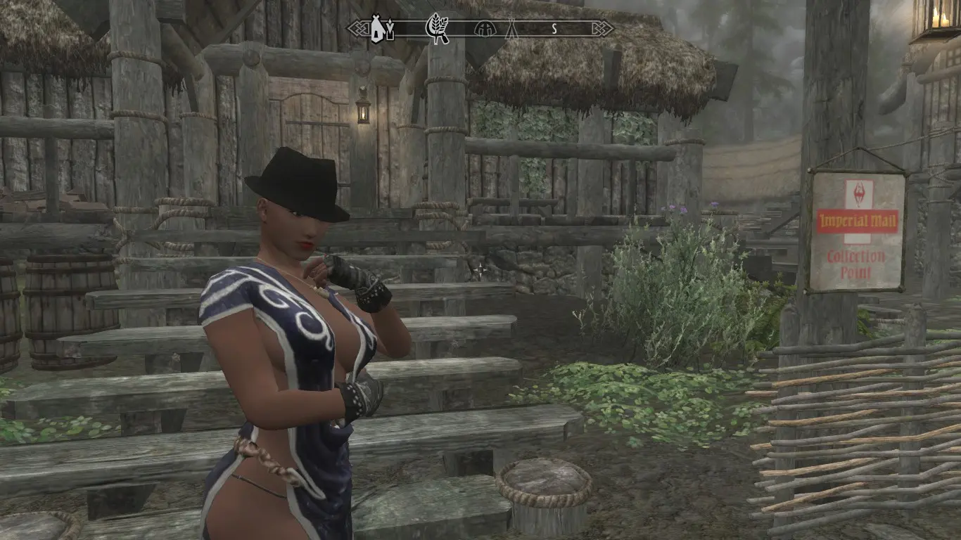 touch the skyrim mods list