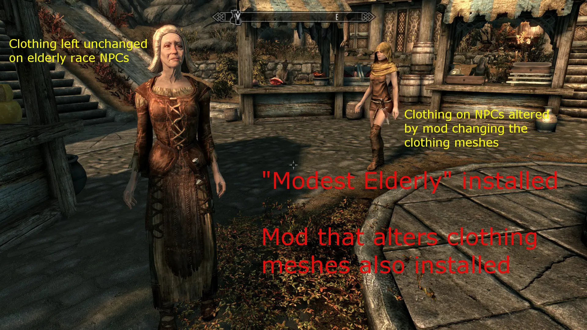 Female Modesty Skin at Skyrim Nexus - Mods and Community