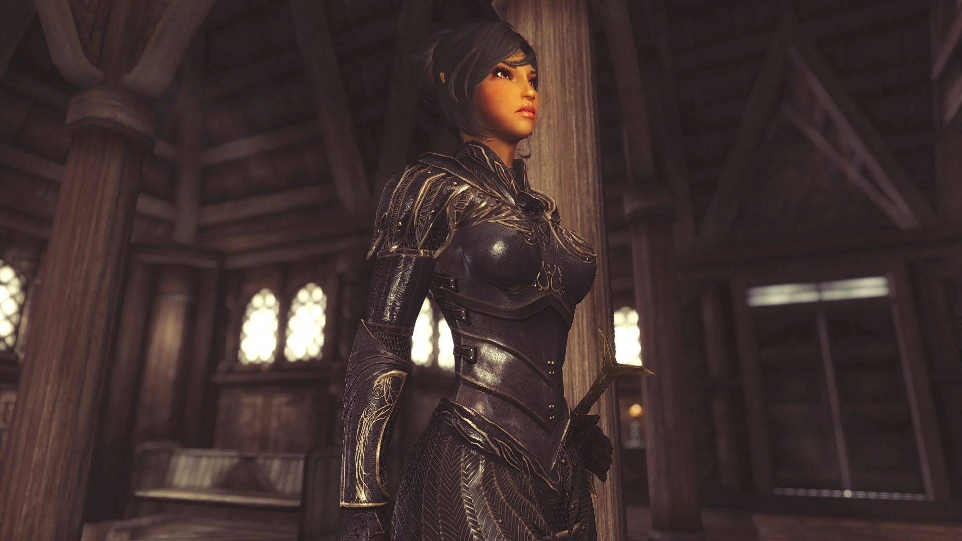 Skyrim Elven Rogue Armor