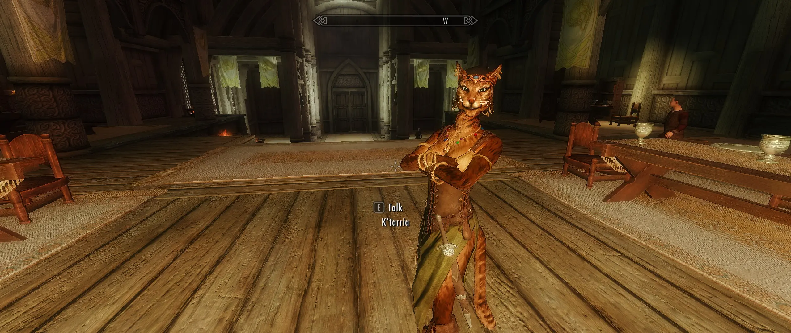 Ktarria The Bard Female Khajiit Mage Follower At Skyrim Nexus Mods And Community