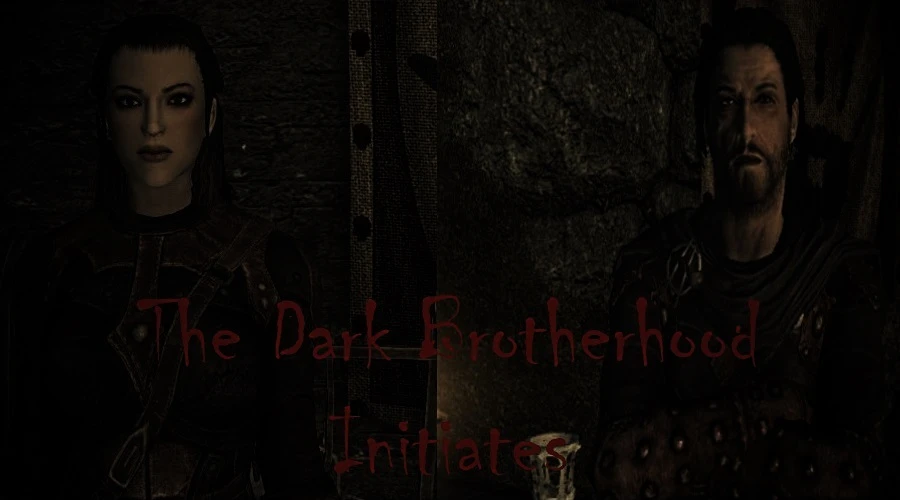 skyrim special edition dark brotherhood mod