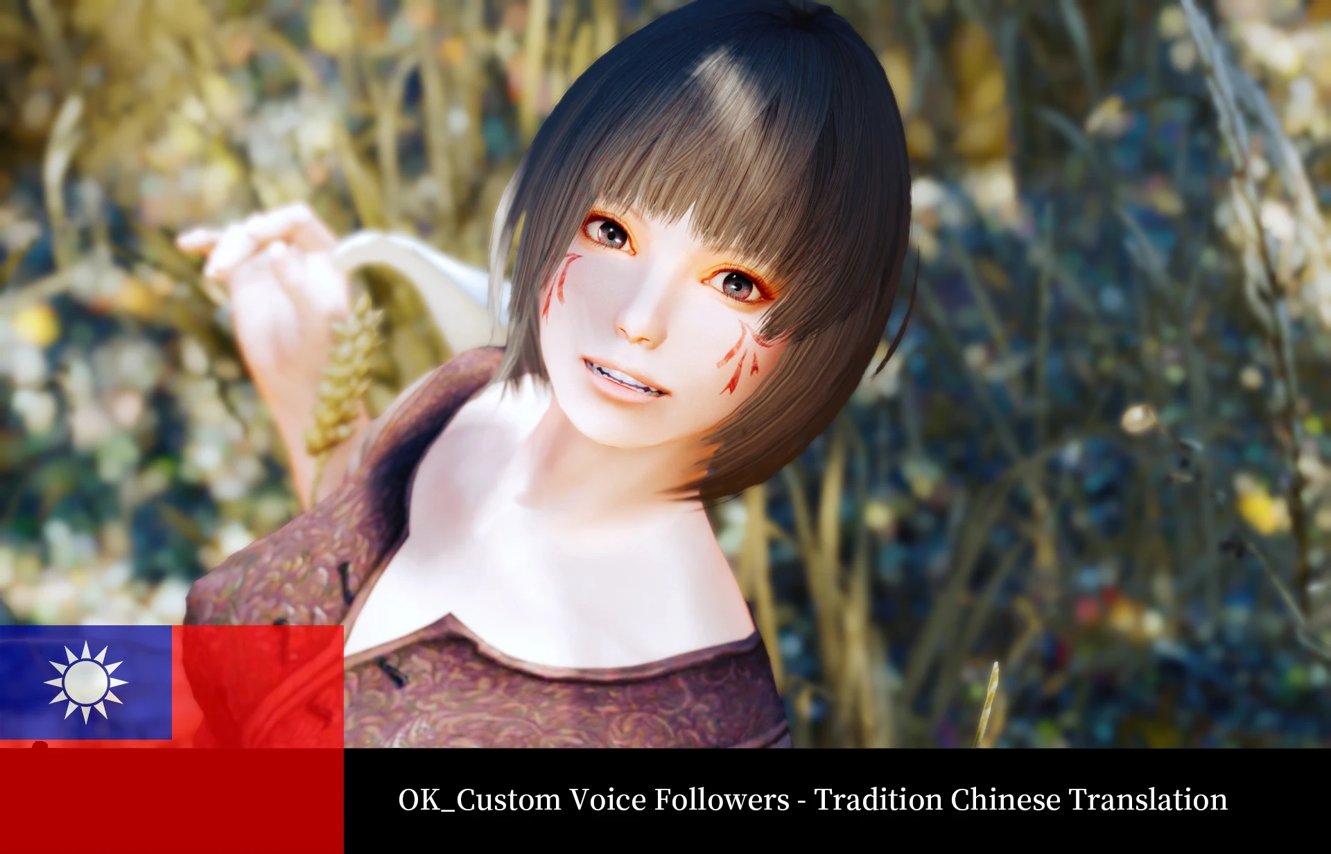 Okcustom Voice Followers Tradition Chinese Translation At Skyrim Nexus Mods And Community