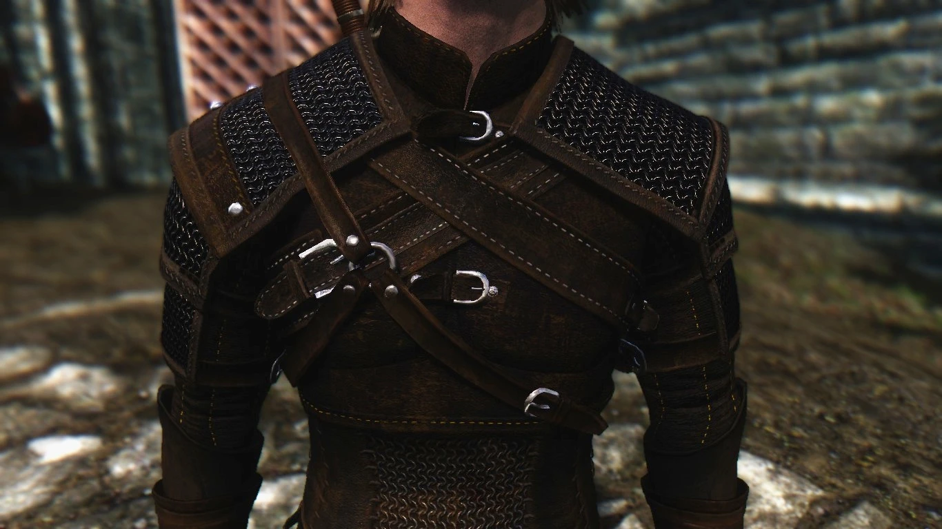 Skyrim the witcher 3 armors фото 81