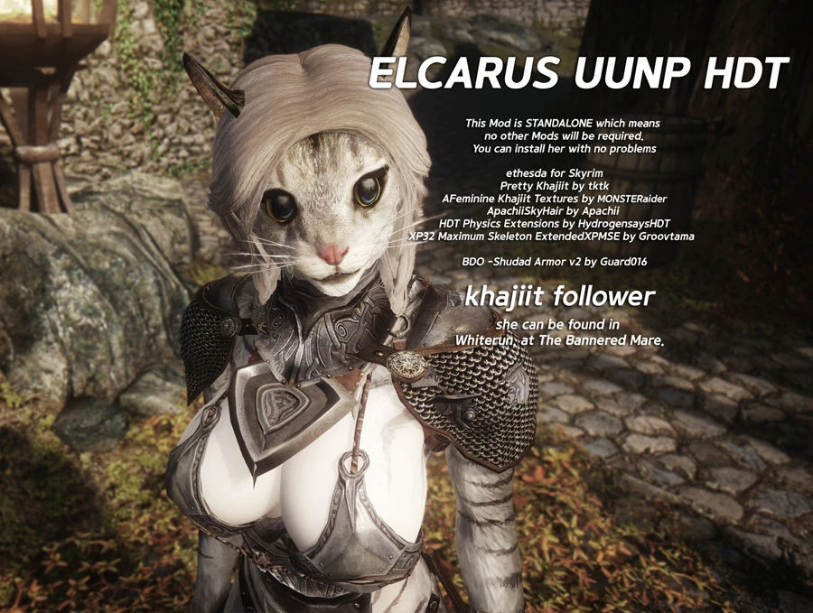 Elcarus Standalone Khajiit Follower Unp Uunp At Skyrim Nexus Mods And Commu...