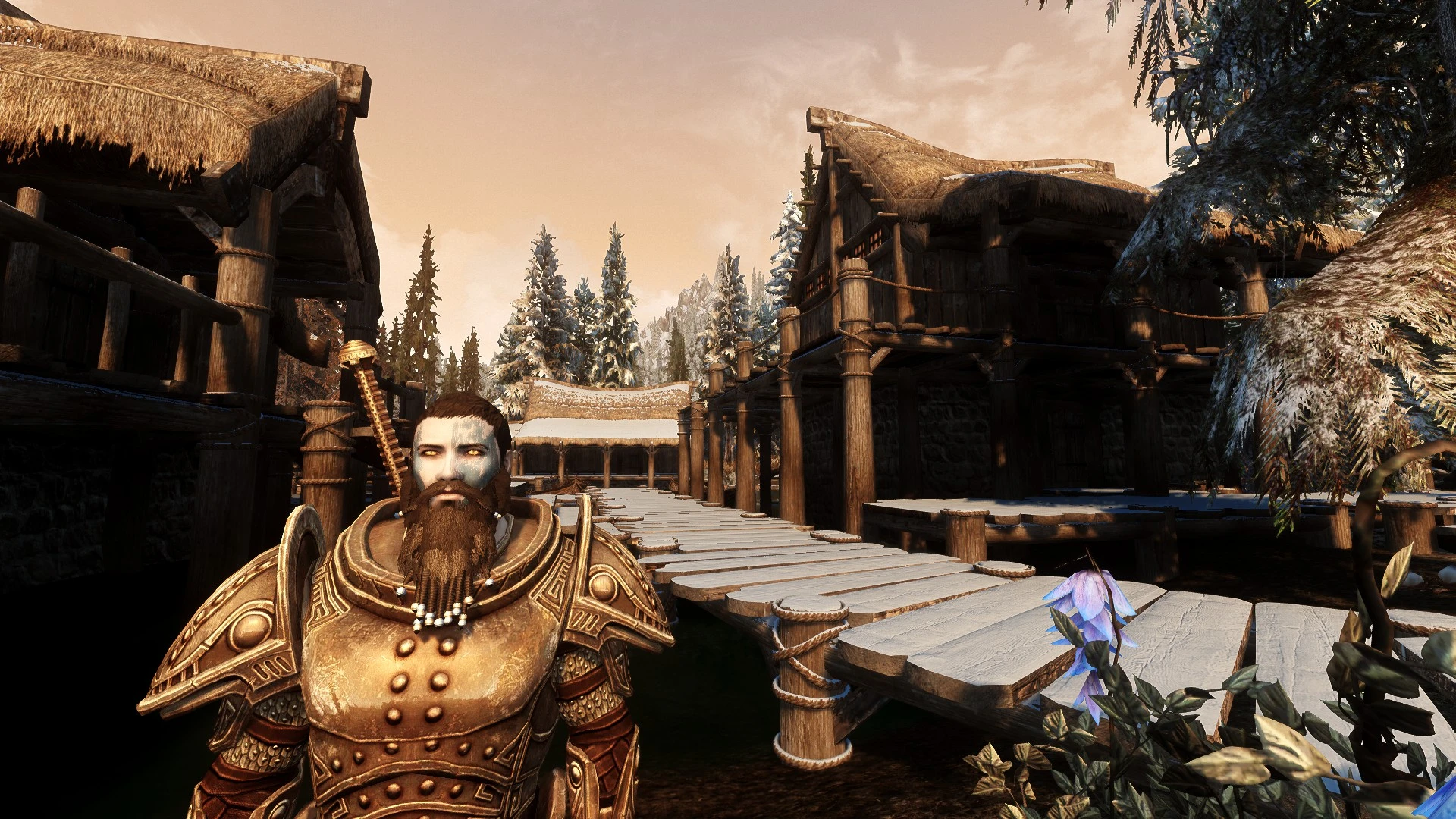 skyrim playing as a vampire skyrim playing as a vampire