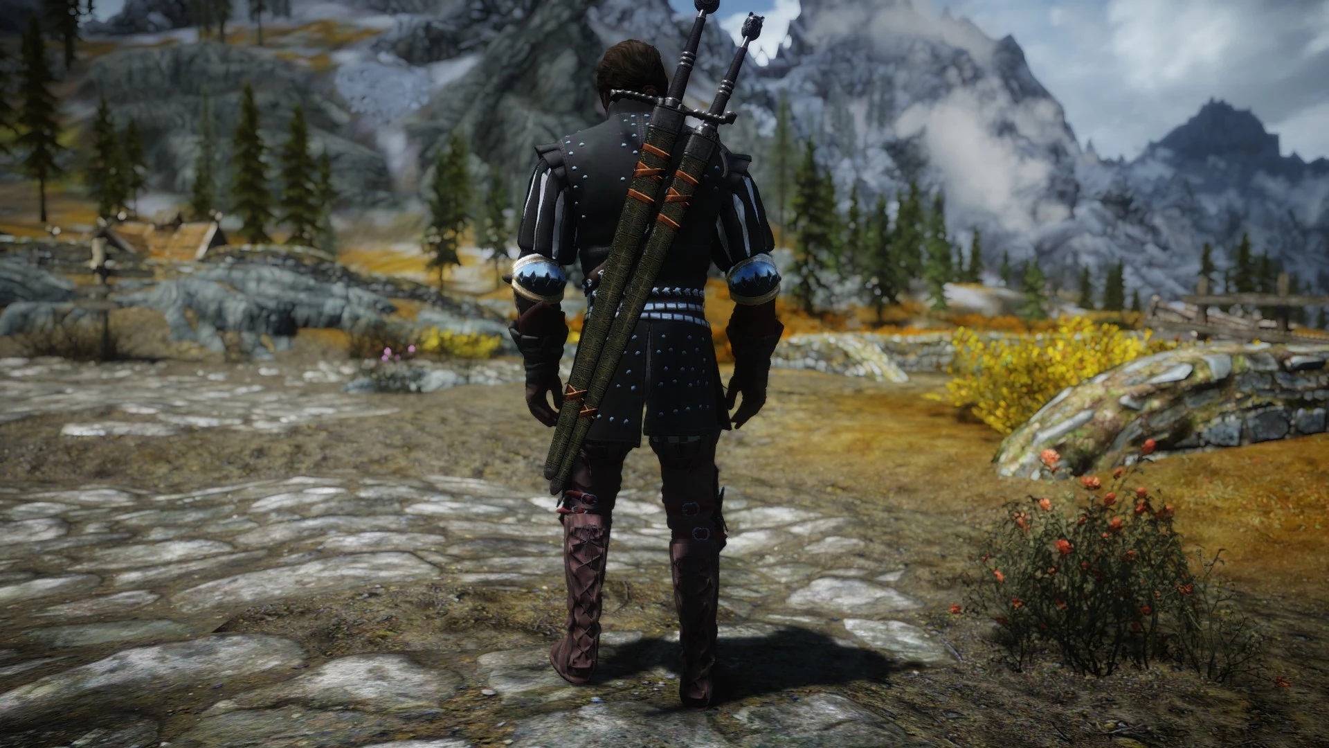 Skyrim the witcher 3 armors фото 88