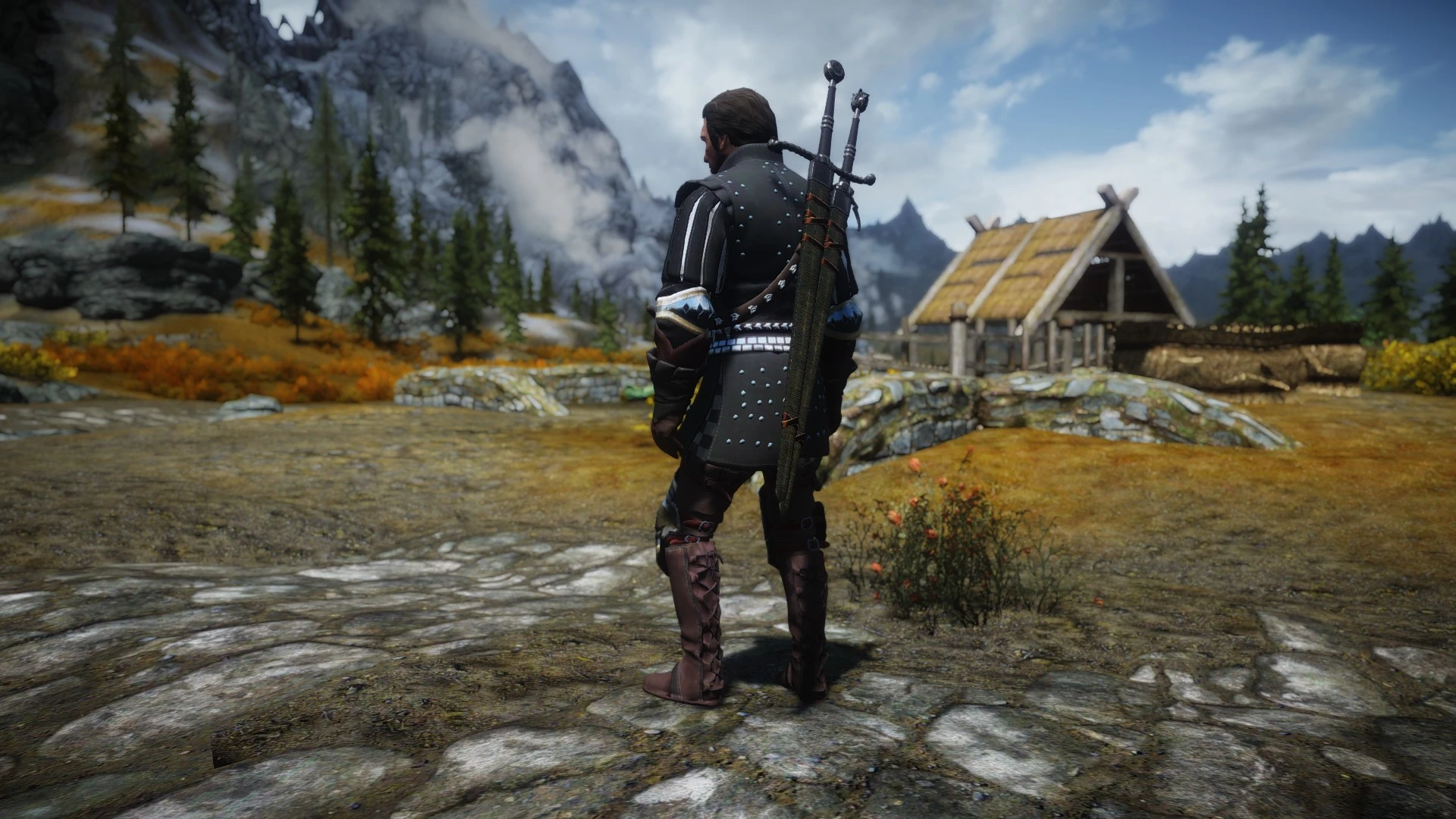 Skyrim the witcher 3 armors фото 83
