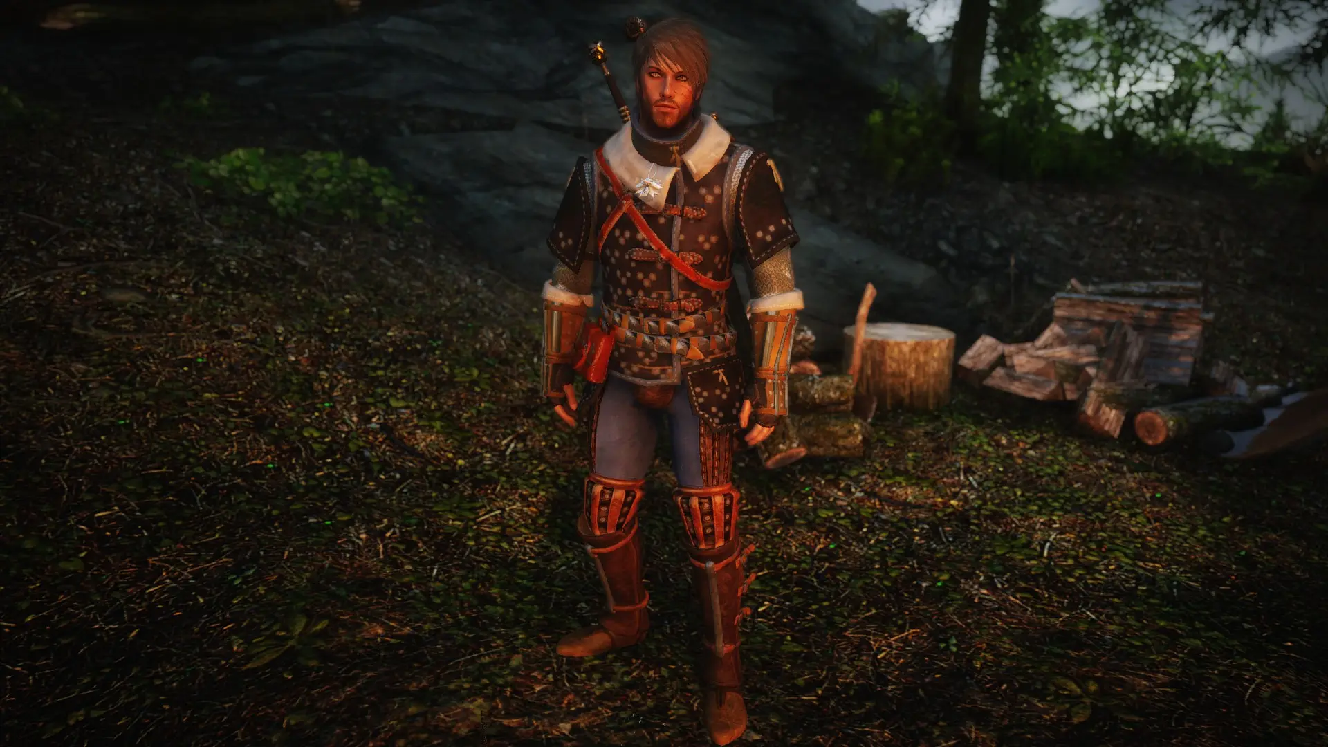 The witcher 3 feline armor фото 14