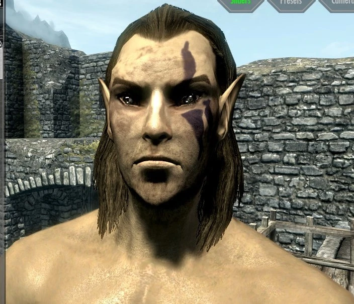 Basic Men Preset at Skyrim Nexus - Mods and Community