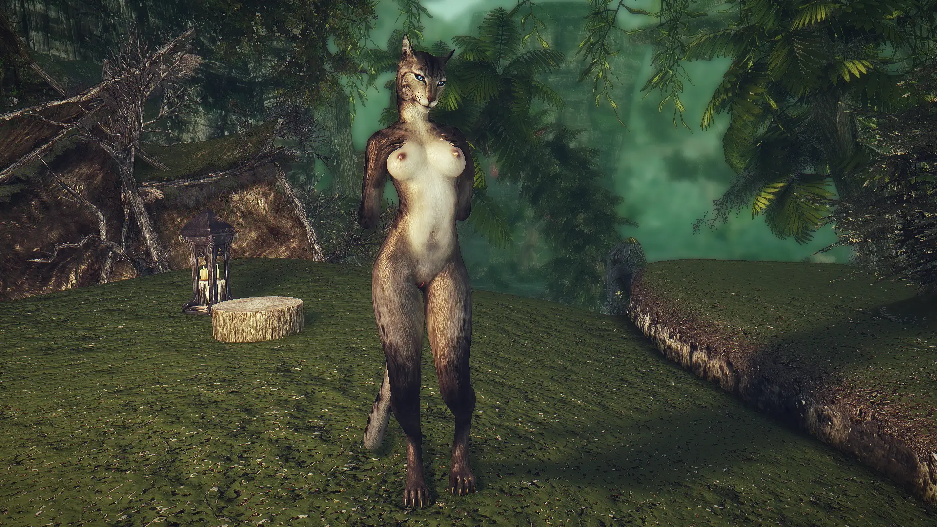 Sexy Good Female Khajit Textures Request Find Skyrim.