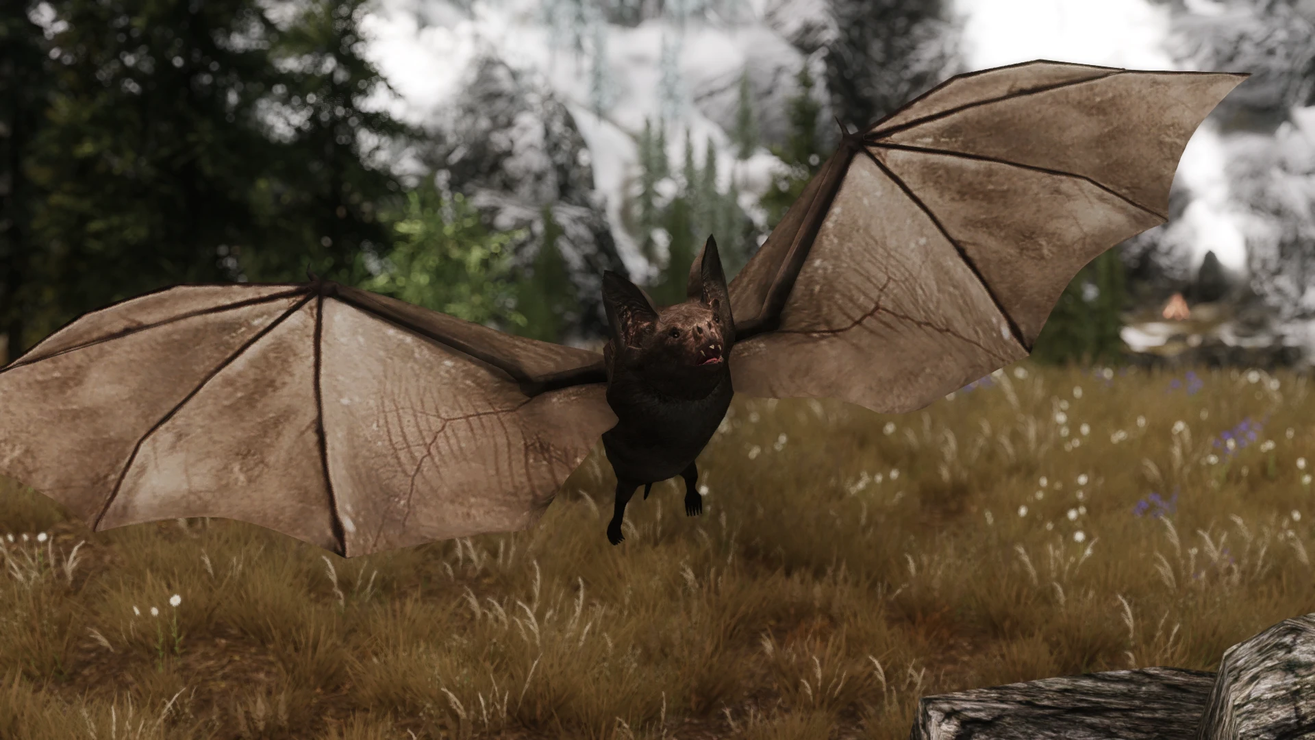 Skyrim коды bat