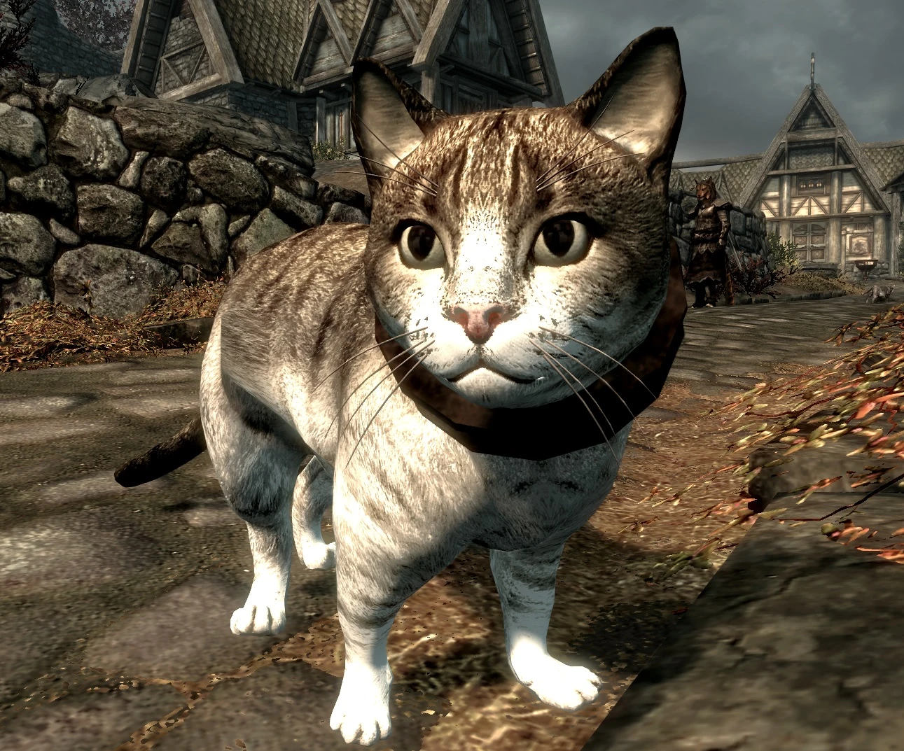 Khajiit's Pets at Skyrim Nexus - Mods and Community