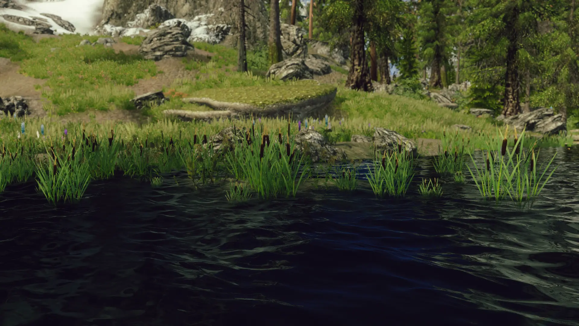 Skyrim grass mod