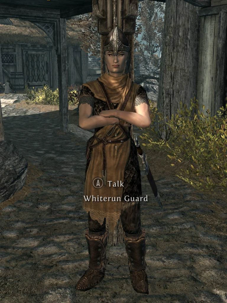 skyrim le diverse guards skyrim mod skyrim le diverse guards skyrim mod