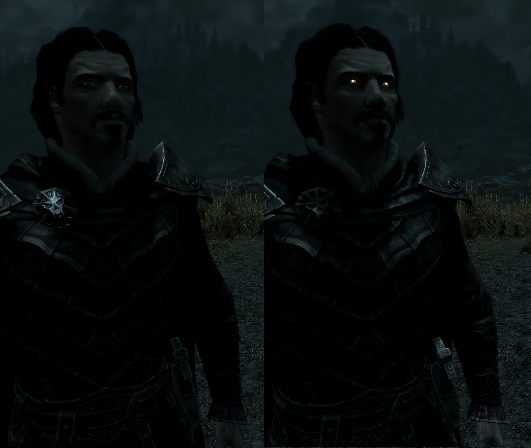 Skyrim overhaul mods