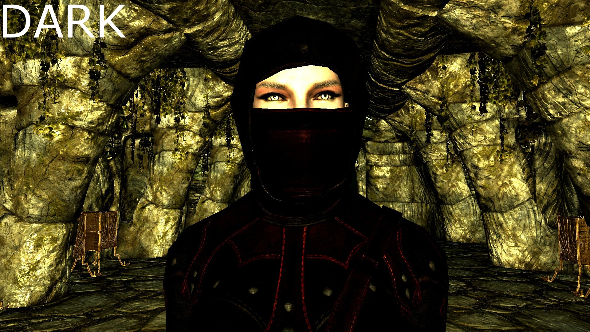 Dark Brotherhood Armor 2K Retexture At Skyrim Nexus Mods And Community   89752 1519248961 133934417 