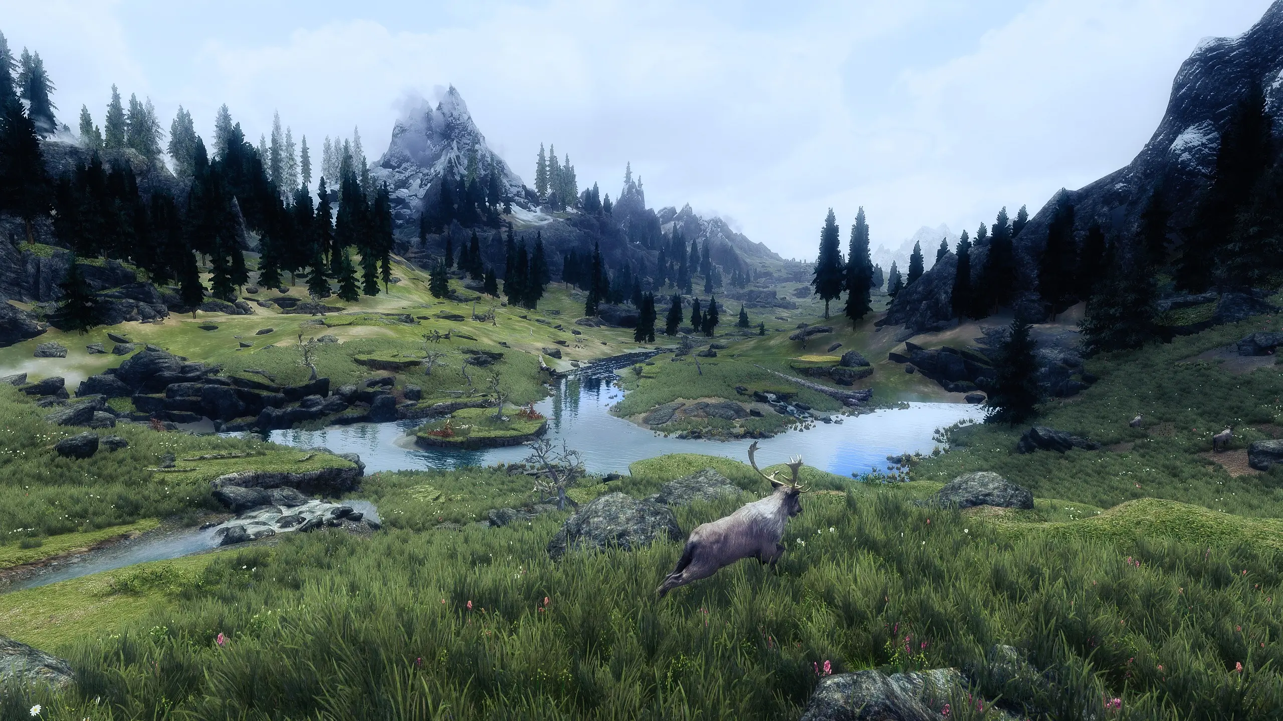 skyrim how to enb