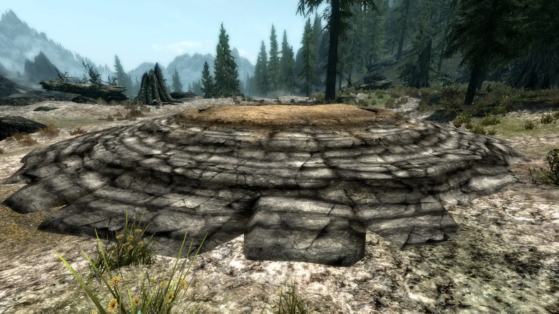 Collect Dragon Bones and Scales at Skyrim Nexus - Mods and Community