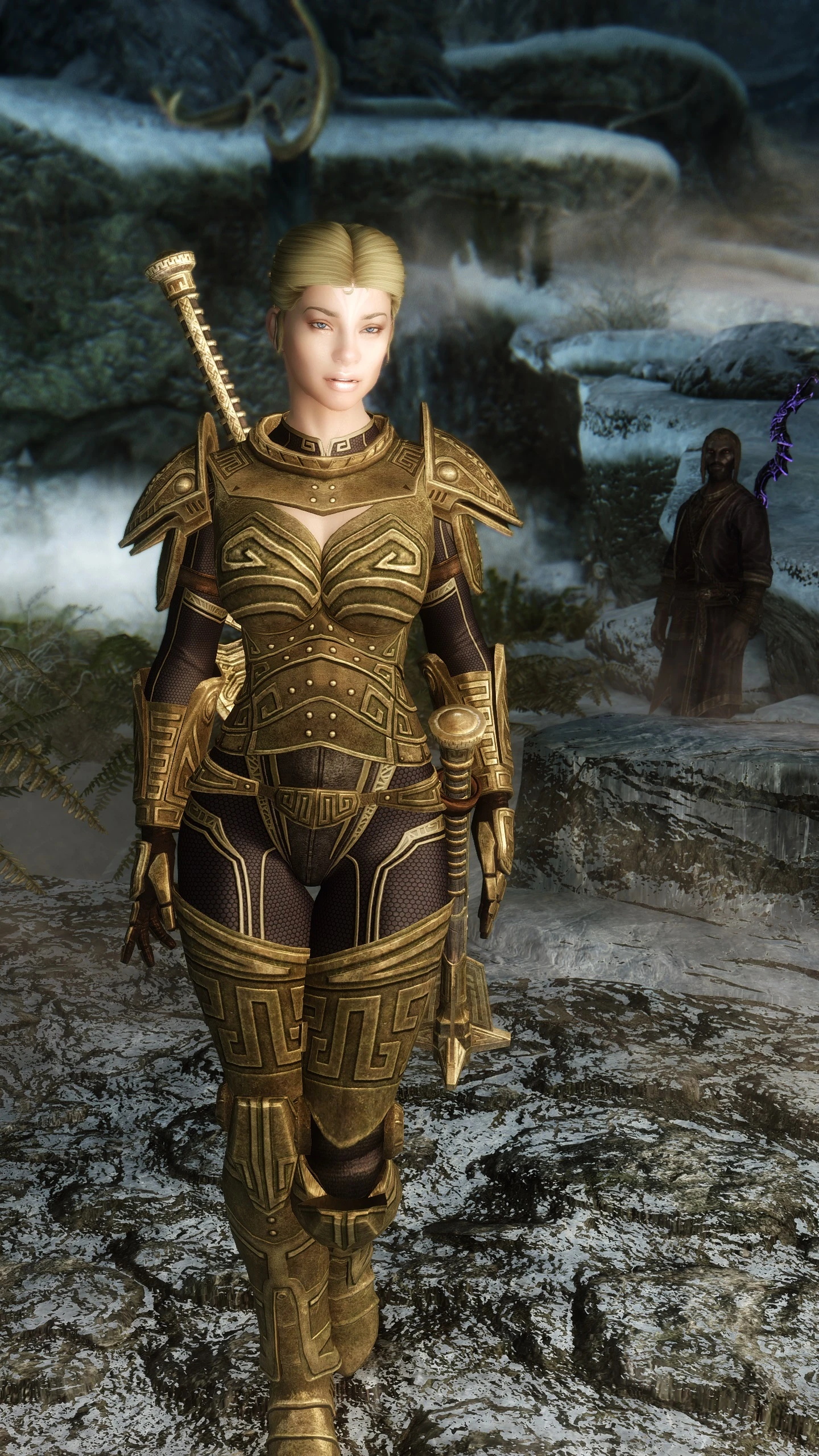 Girls Heavy Armors At Skyrim Nexus Mods And Community