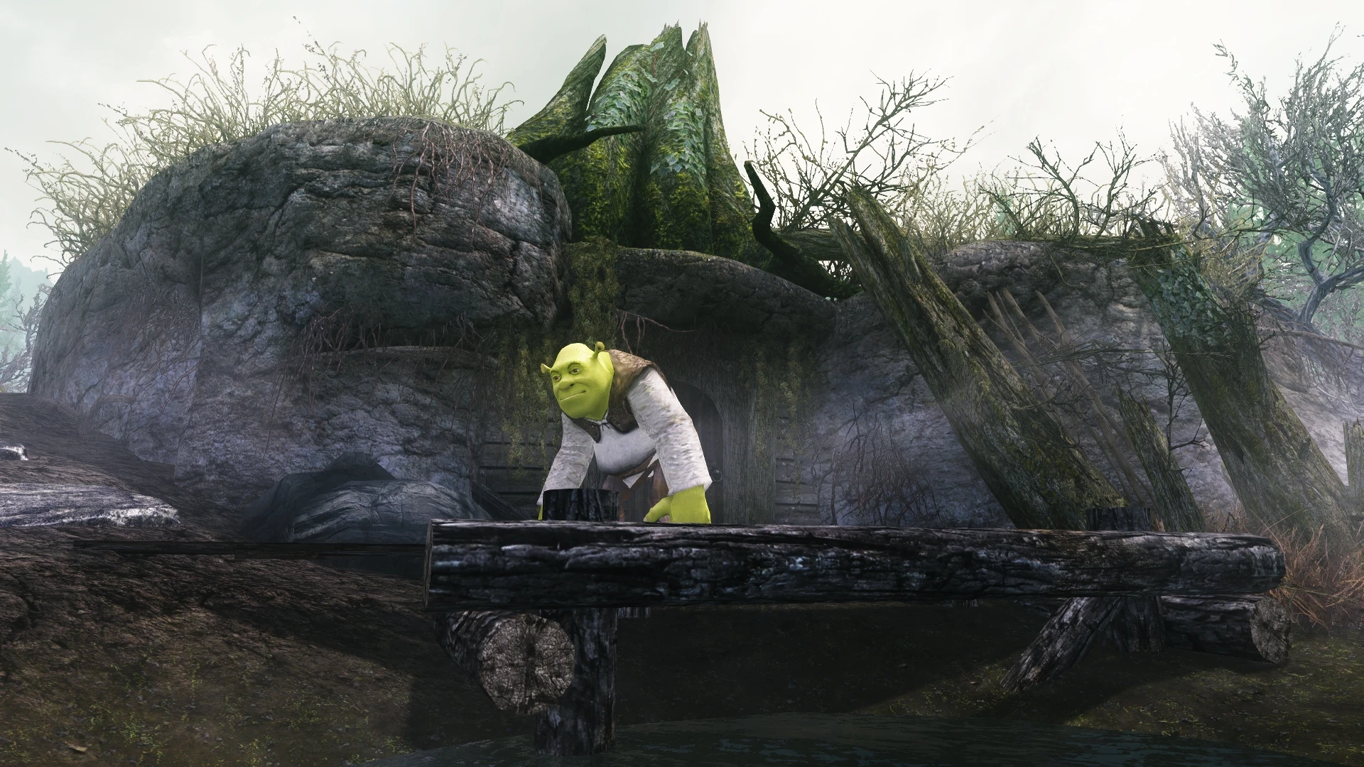 Shrek's Swamp House at Skyrim Nexus - mods and community