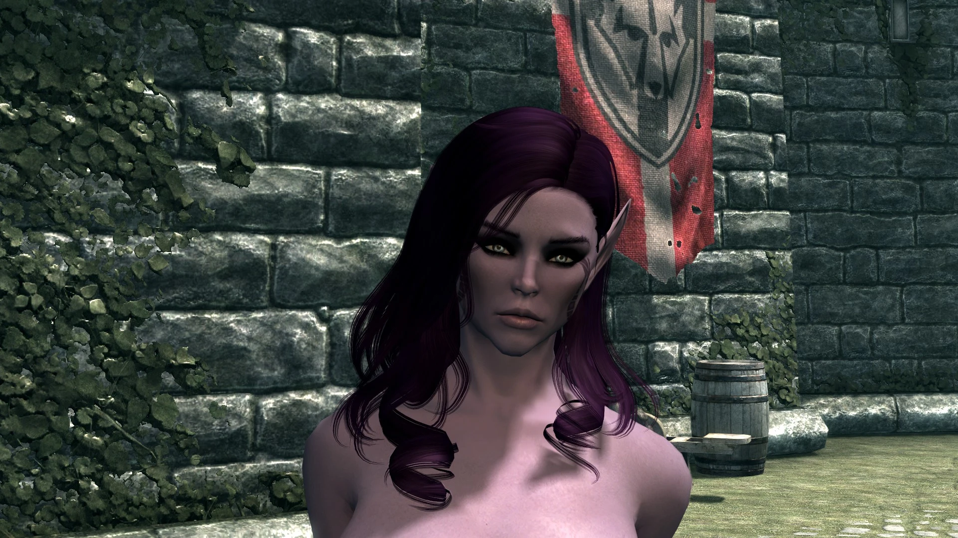 Darya The Beautiful Elf Follower at Skyrim Nexus - Mods and Community