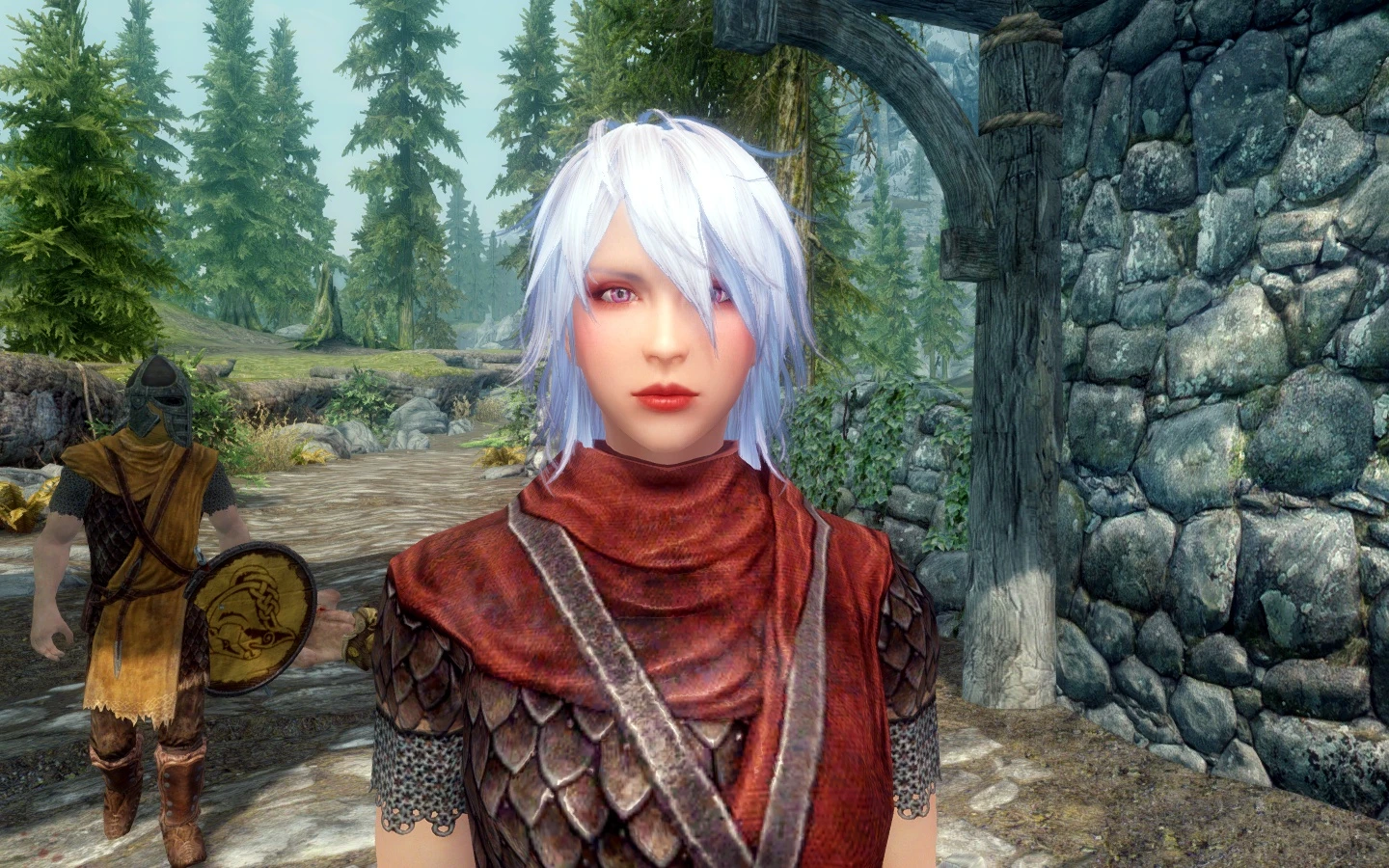 VampireWarrior Anne at Skyrim Nexus - Mods and Community