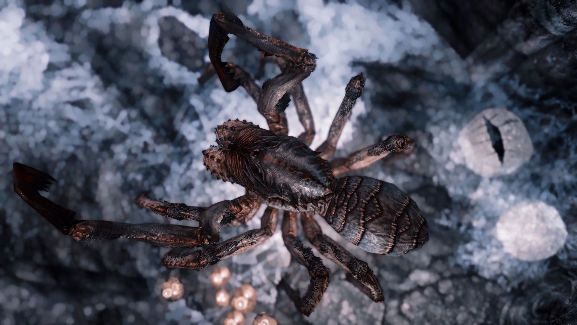 RUSTIC FROSTBITE SPIDER at Skyrim Nexus - Mods and Community