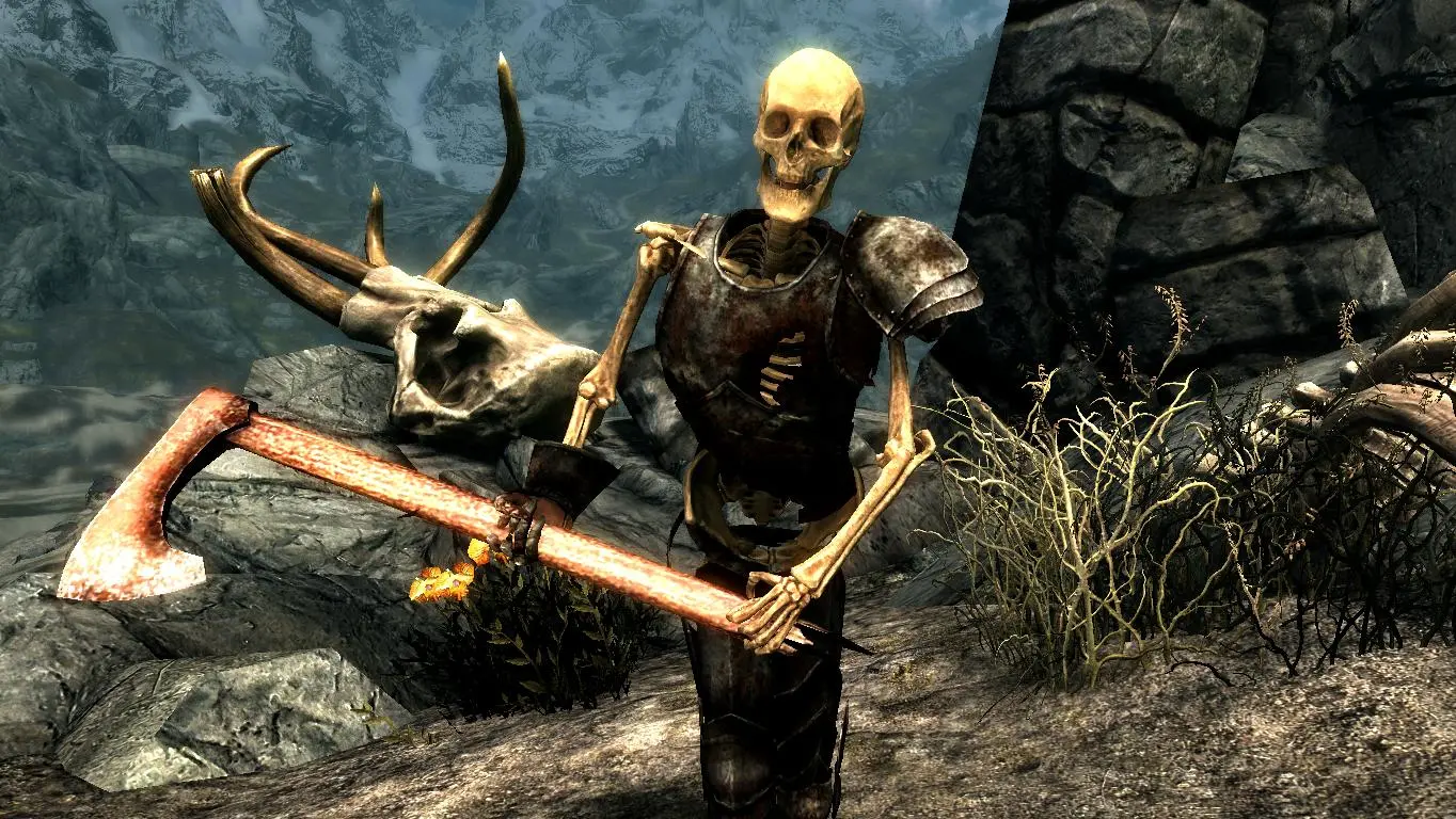 skyrim special edition skeleton