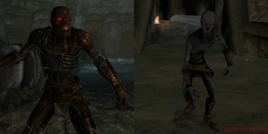 skyrim human flesh mod