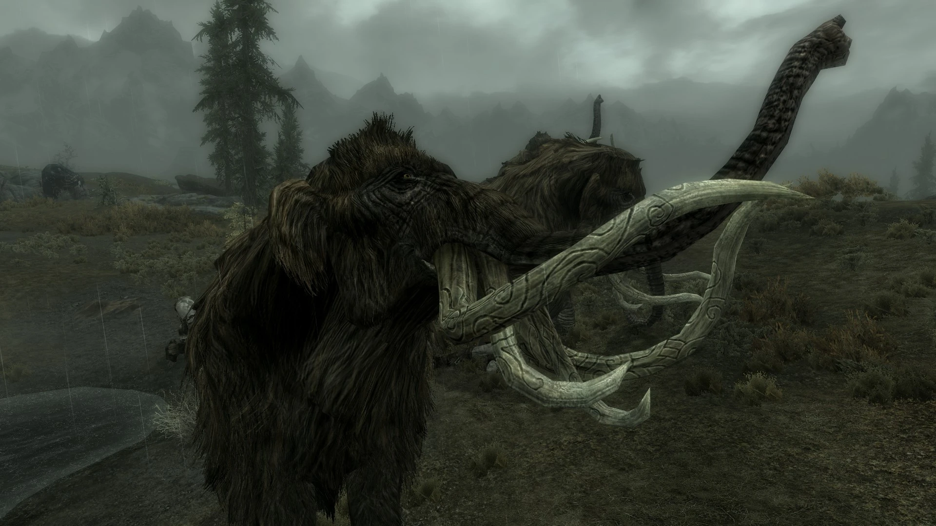 Loot Mammoth Skulls and more Tusks at Skyrim Nexus - mods and community