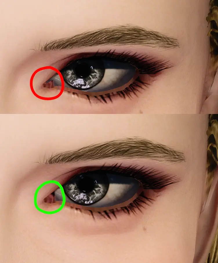 Skyrim eyes missing - ternotes