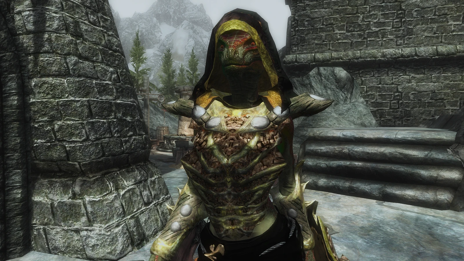 HistBone And Bonewood Argonian Armors At Skyrim