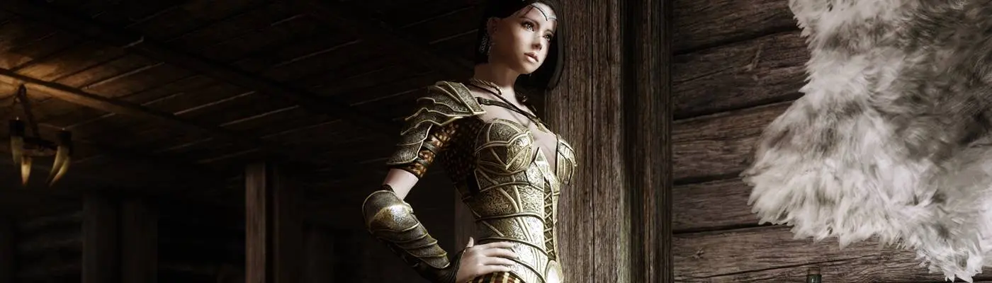 Female Player Animations (DAR) at Skyrim Special Edition Nexus - Mods and  Community