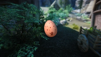 Pine Thrush Egg
