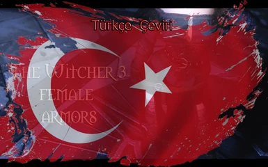 Witcher 3 Female Armors UNP - Turkish Translation