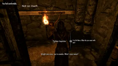 skyrim mods alternate start