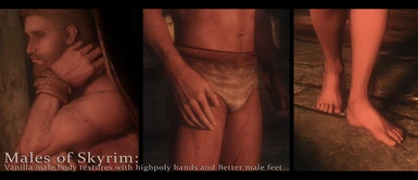 Males Of Skyrim by zzjay  -  with Better Male Feet and High poly hands