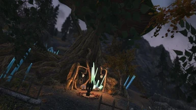 Fairy Oak Playerhome (Screenshot By MaiaraZephyr)