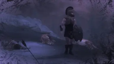Walking throught the snow (ENB 2022)