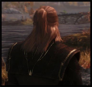 Geralt Witcher hair included in next version