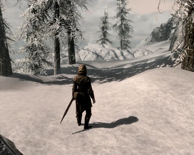 Behold the Beauty of Skyrim again.
