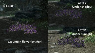 Comparison with Mari's mod installed