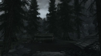Riverwood_Real_Forest_01