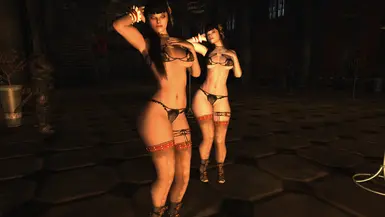 skyrim all in one animated pussy 4.0 skyrim all in one animated pussy 4.0