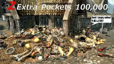 Z Extra Pockets 100000