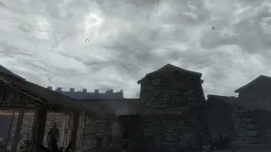 Aves en Solstheim
